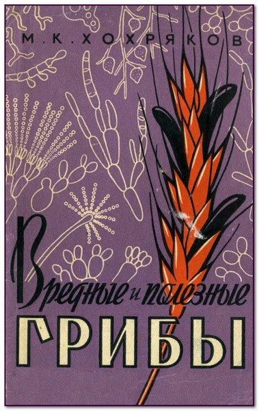 Вредные и полезные грибы