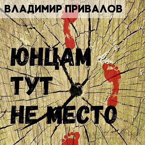 Привалов Владимир. Юнцам тут не место (Аудиокнига)