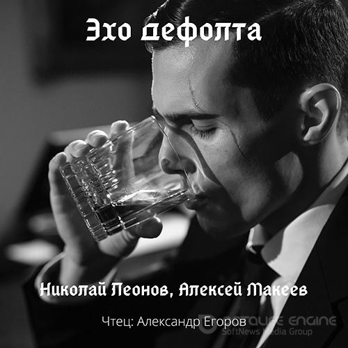 Леонов Николай, Макеев Алексей. Эхо дефолта (Аудиокнига)
