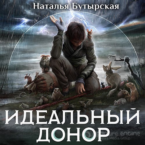 Бутырская Наталья. Идеальный донор. Герой (Аудиокнига)