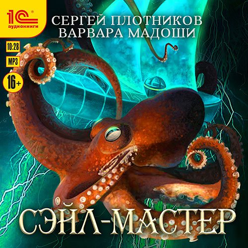 Плотников Сергей, Мадоши Варвара. В открытом эфире. Сэйл-мастер (Аудиокнига)