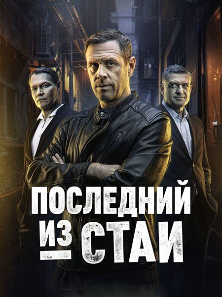 Последний из стаи